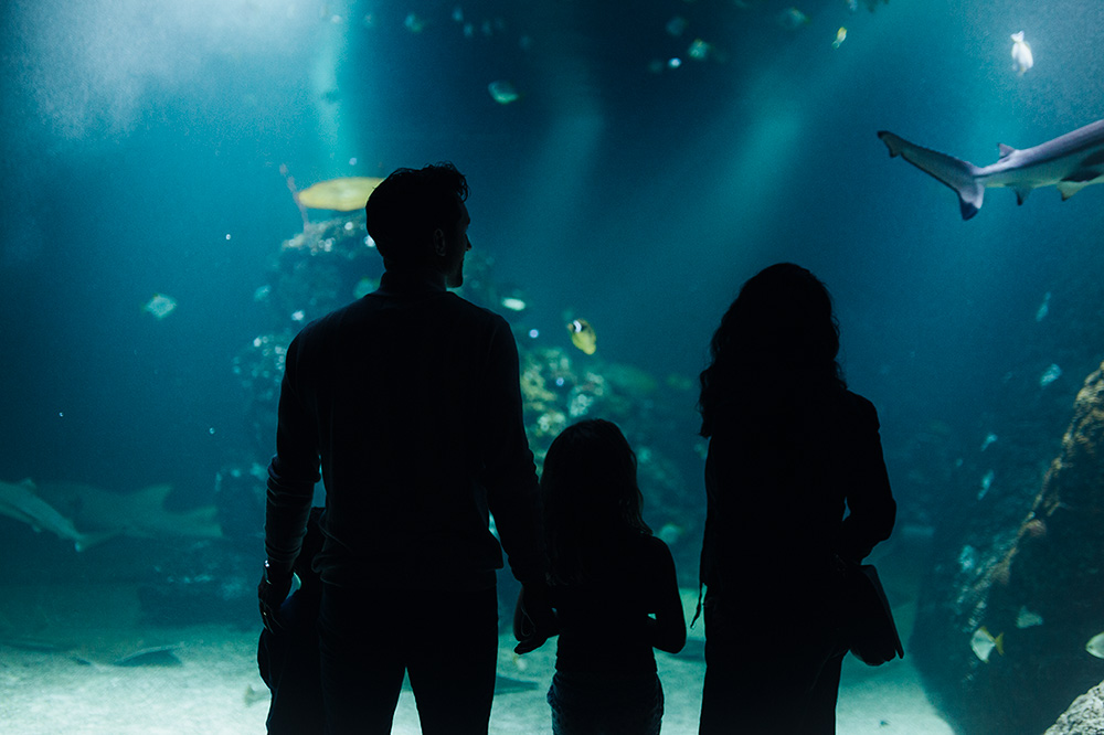 Familj besöker akvarium